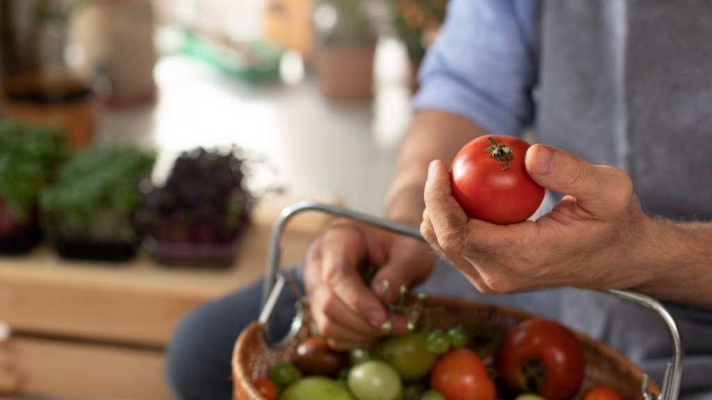 A importância da qualidade para garantir a segurança alimentar